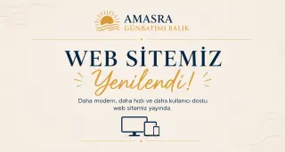 Web Sitemiz Yenilendi